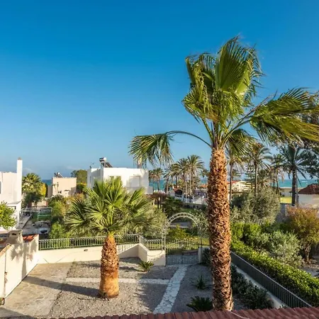 Palm View * Gennadi