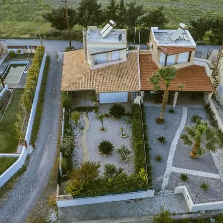 Palm View